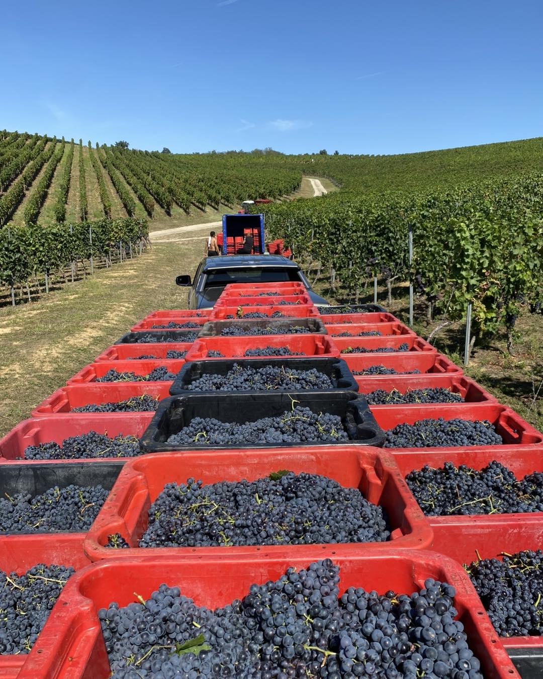 A Bocor dűlő mindig különleges helyet foglal el a szívünkben